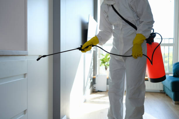 Best Commercial Mold Removal  in Bridgetown, OH